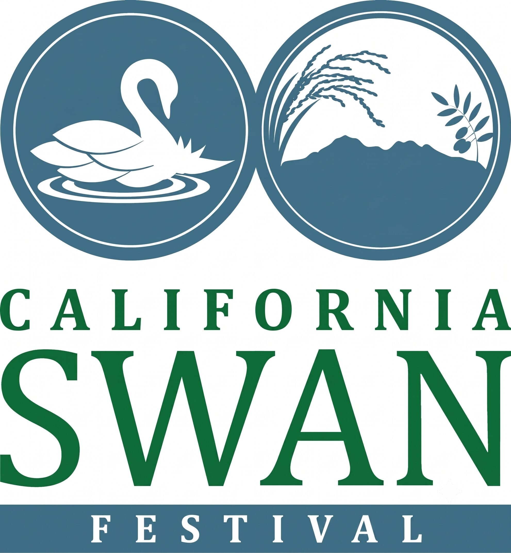 California Swan Festival